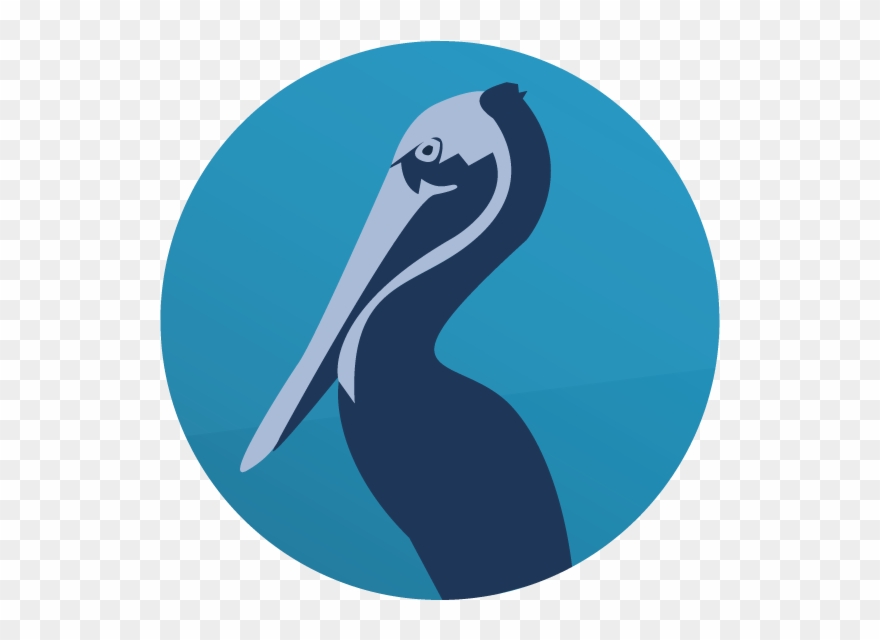 Brown Pelican Clipart