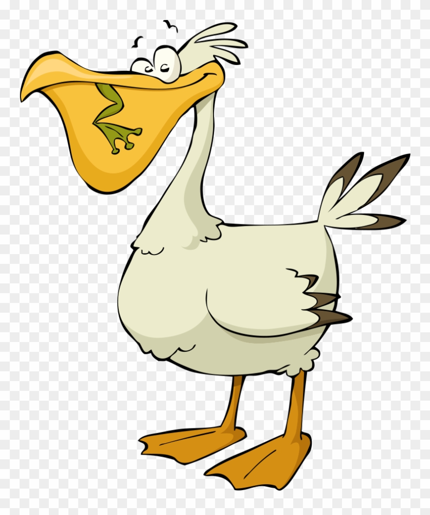 Image Library Pelican Vector Cartoon - Cartoon Pelican Transparent Clipart