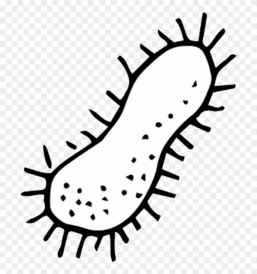 Vector Freeuse Download Jellyfish Homeschool - India Kazakhstan Clipart