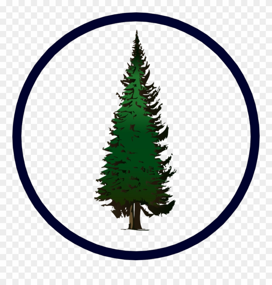 Pine Tree Clip Art , Png Download - Clip Art Evergreen Trees Transparent Png