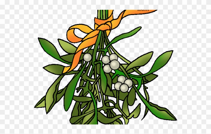 Branch Clipart Mistletoe - Png Download
