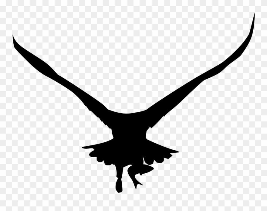 Info - Aviation Clipart