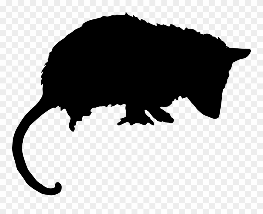 Opossum Mammal Silhouette Svg - Opossum Silhouette Clipart