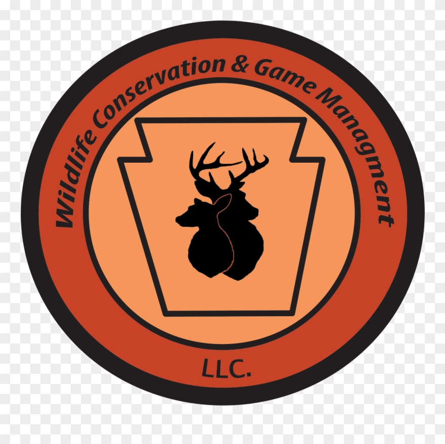 Bujinkan Budo Taijutsu Clipart