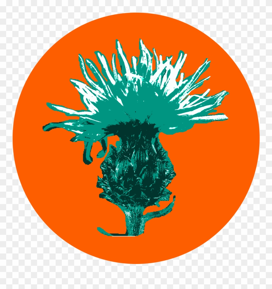 When Attempting To Eradicate Noxious Weeds, Best Efforts - New York City Clipart