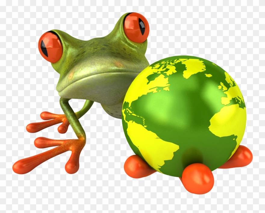 Frog - Foundation Science For Iit-jee/ Neet/ Ntse/ Olympiad Clipart