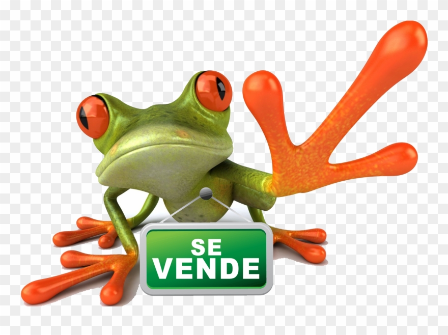 Sobre El Producto - Green And Orange Animals Clipart