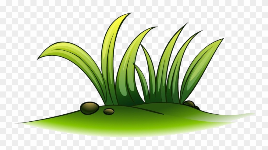 Clip Art A Plant Of Grass Transprent - Grass In Water Clipart - Png Download