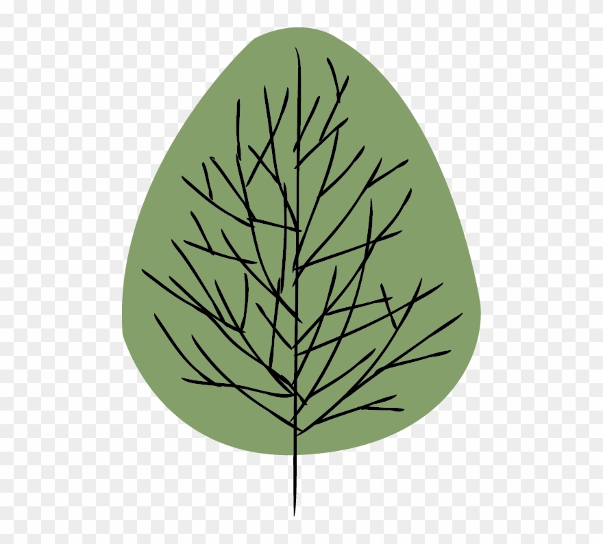 Colorado Comfort Cuisine - Circle Clipart