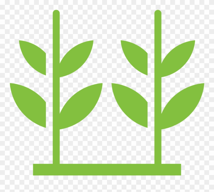 Crop Acreage Appraisal - Crop Clipart