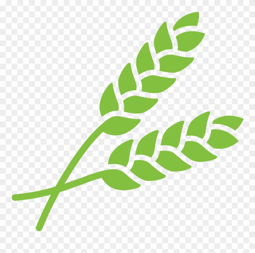 Crop Understand Grain Quality Issues - La Misericordia È Una Carezza - Francesco I (jorge Clipart