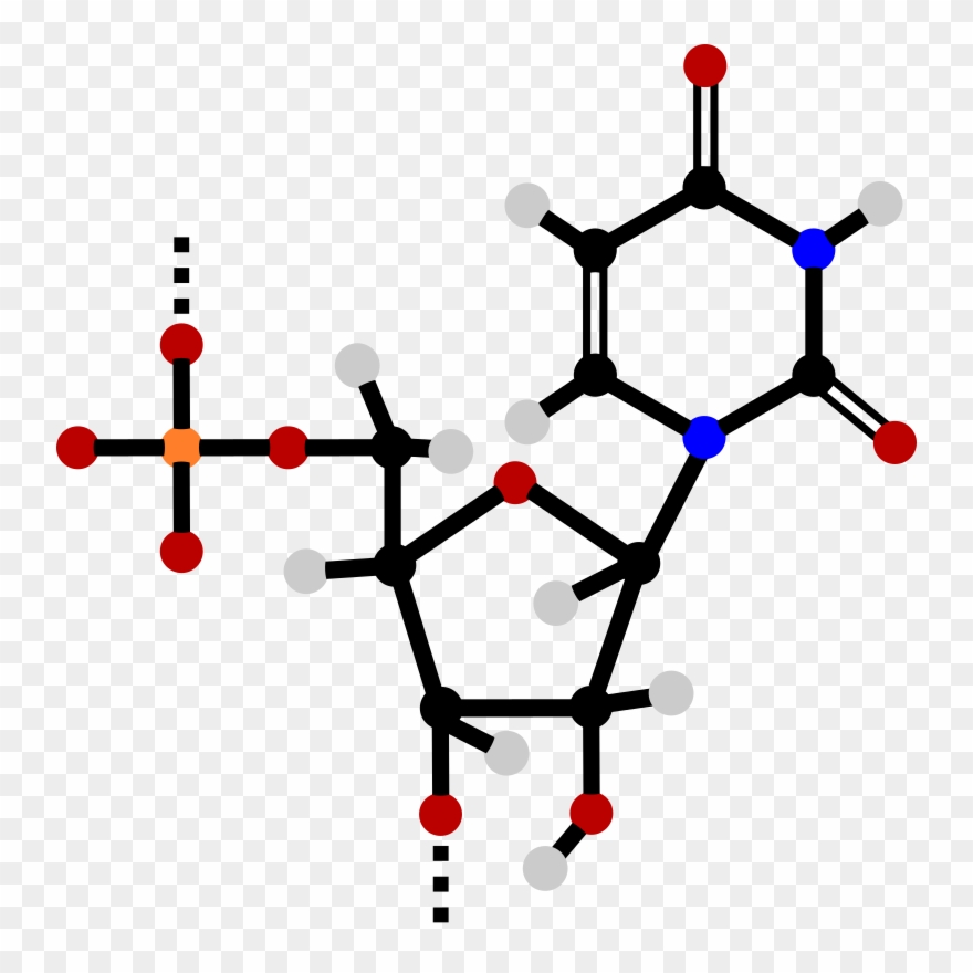 By Jammi Evil - Nucleotides Clipart - Png Download