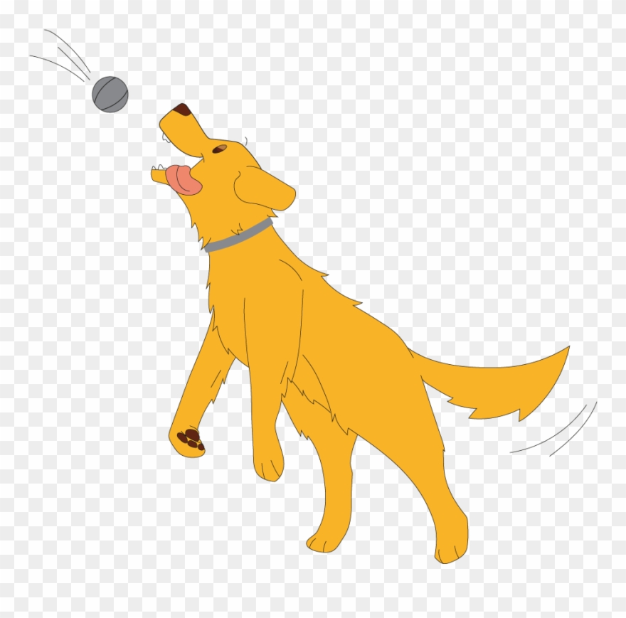 Now Rather Than Worrying, You Can Spend More Time Doing - Dog Catches Something Clipart