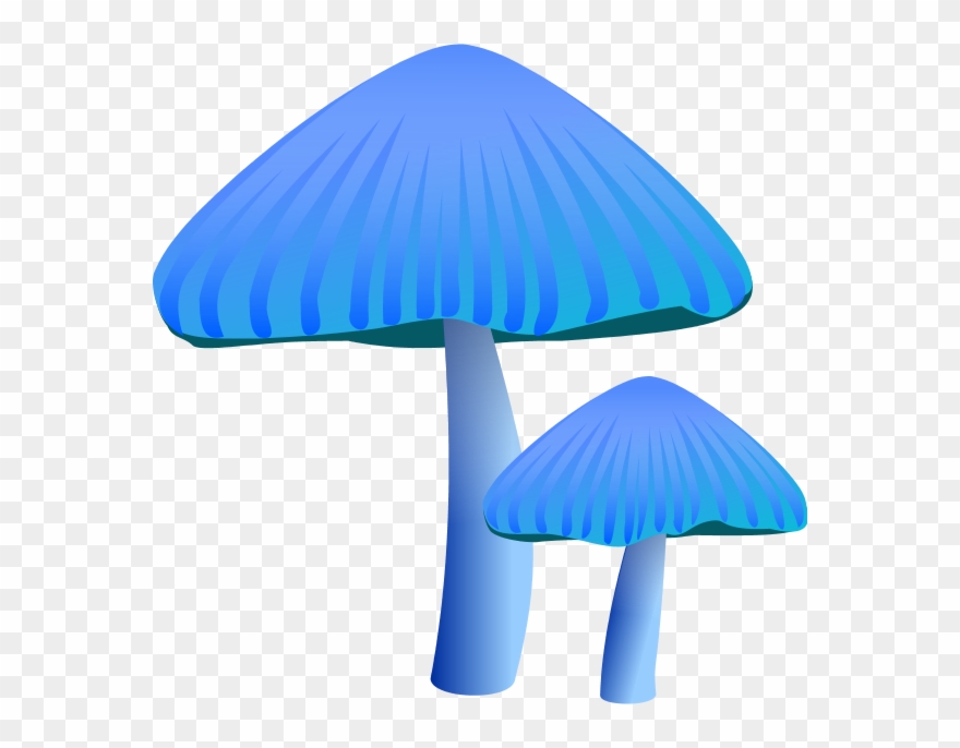 Orange Mushroom - - Blue Mushroom Clip Art - Png Download