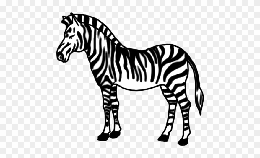 How To Draw Zebra For Kids Easy Step By Step - Zebra Malvorlage Clipart