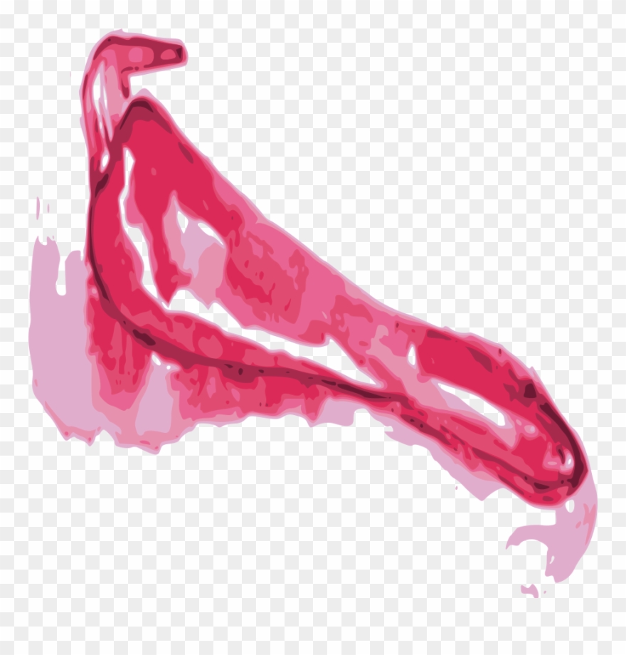 Download Red Pepper Clipart Free Red Pepper Png Png Transparent Png