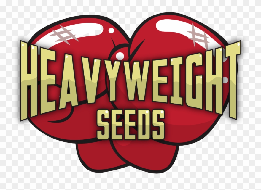 Strong Clip Loaded Clip Art - Heavyweight Seeds Logo - Png Download