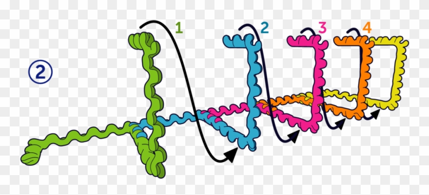 Dna2 - Construction Clipart