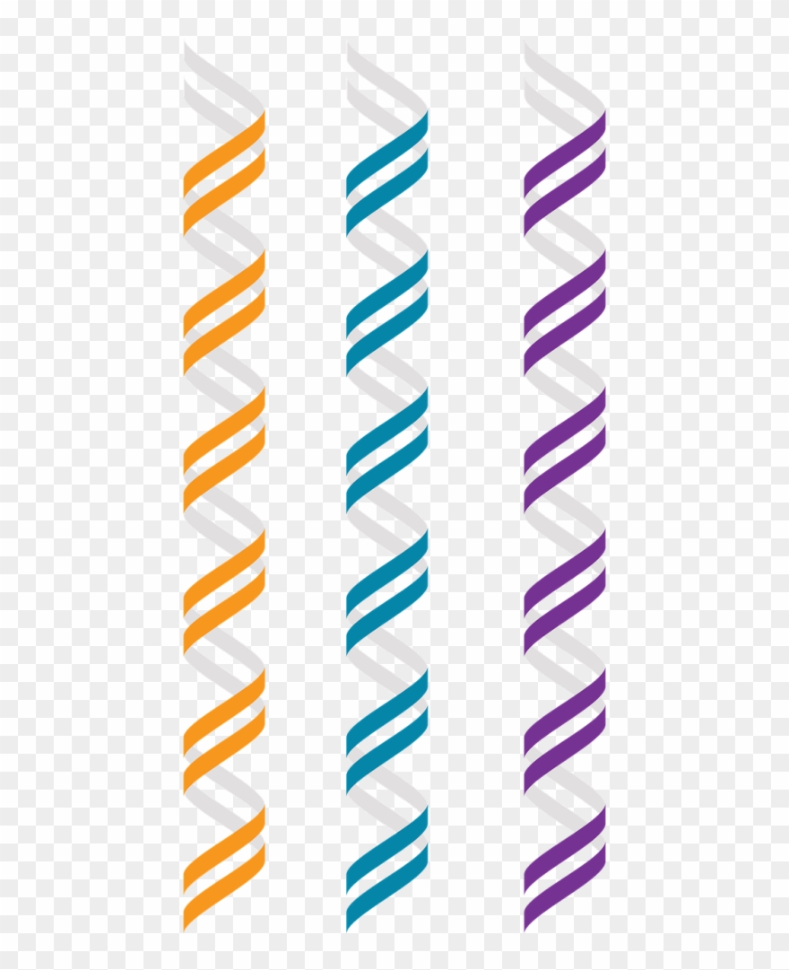 Genomics,double Helix,right Hand - Dna Vector Graphic Clipart