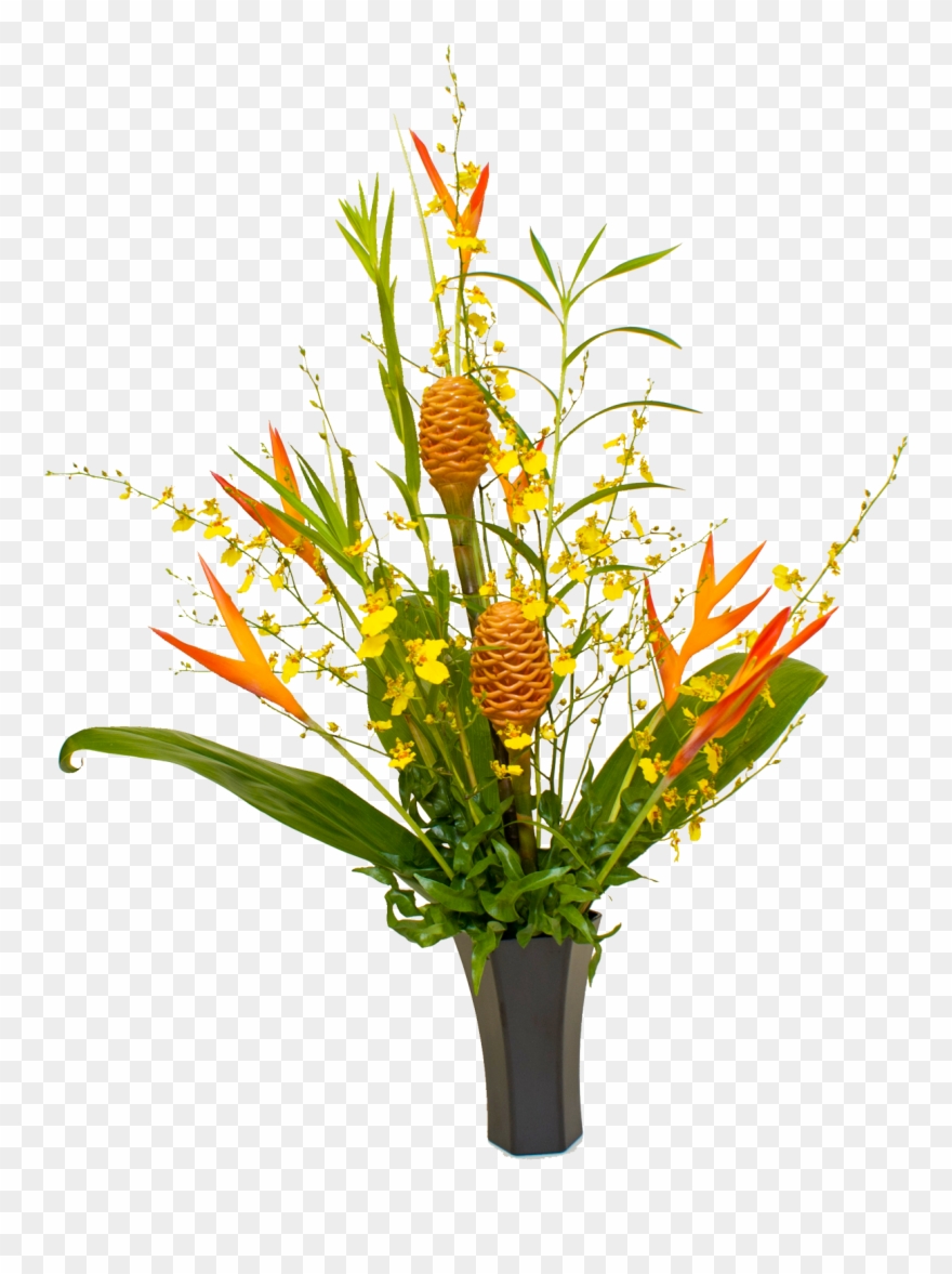 95 Previous Next - Tropical Flowers Plant Png Clipart