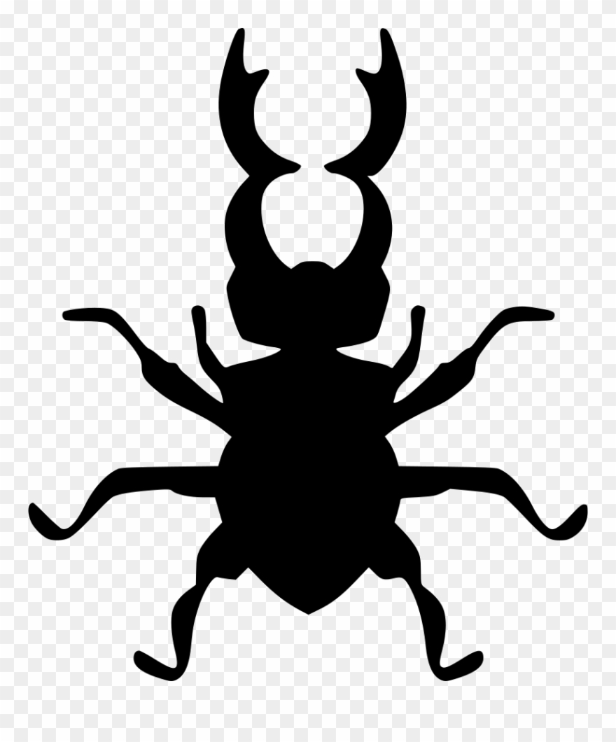 Beatle Colorado Nature Icon Free Download Png Svg Round - Beetle Clipart