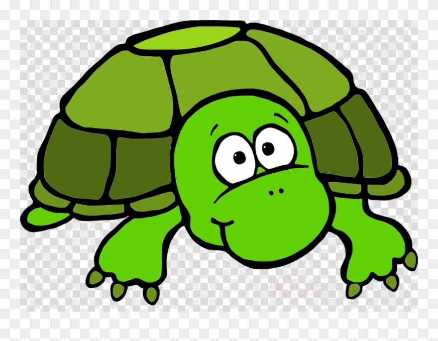 Turtle Clipart Sea Turtle Clip Art - Turtle Clipart In Png Transparent Png
