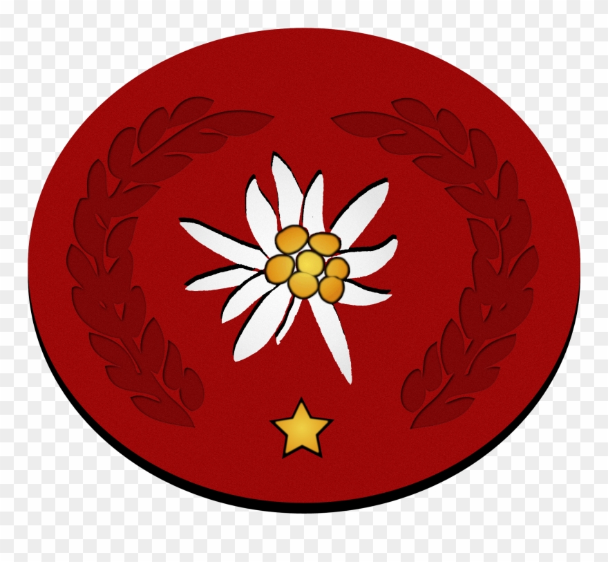 Edelweiss-auszeichnung 1 Stern - Edelweiss Pirates Logo Clipart