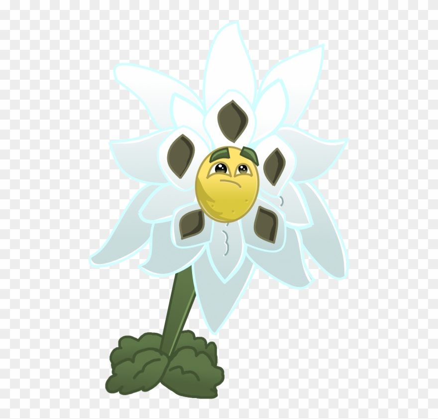 Edelweiss Hd - Plants Vs. Zombies Clipart