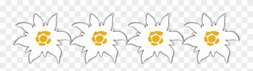4 Edelweiss - Carinthia Clipart