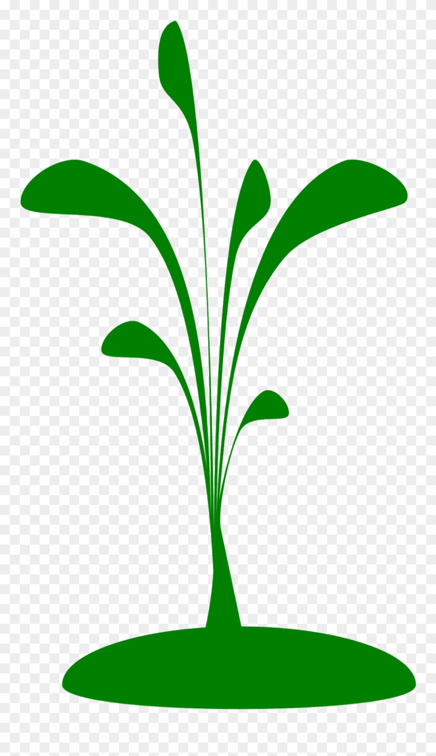4) Grassy Looking Curves With Corner Node Tips, 5) - Clip Art - Png Download