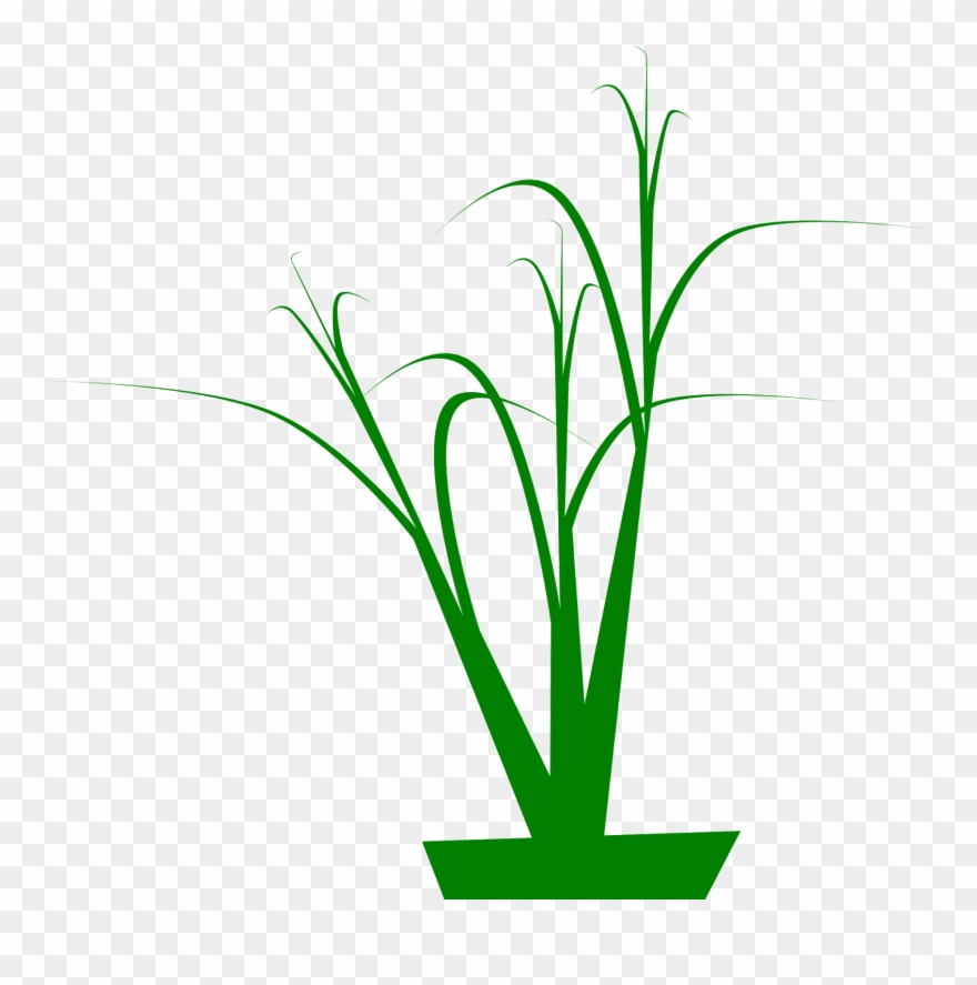 4) Grassy Looking Curves With Corner Node Tips, 5) Clipart
