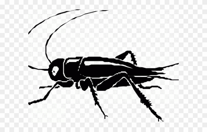 Bug Clipart Invertebrate - Clip Art - Png Download