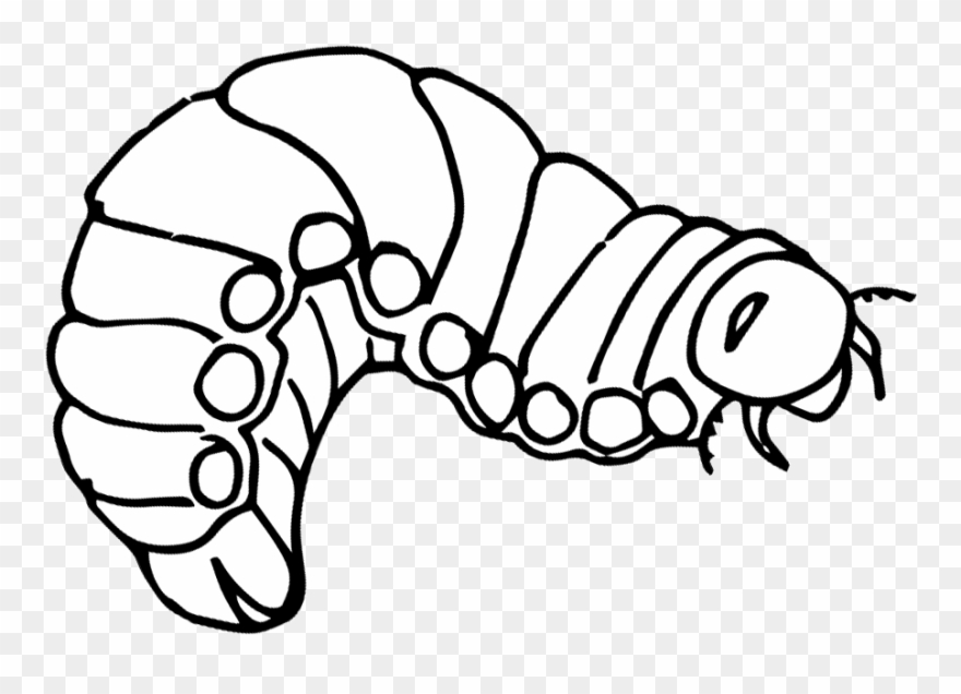 Rhinoceros Beetle Clipart - Caterpillar - Png Download