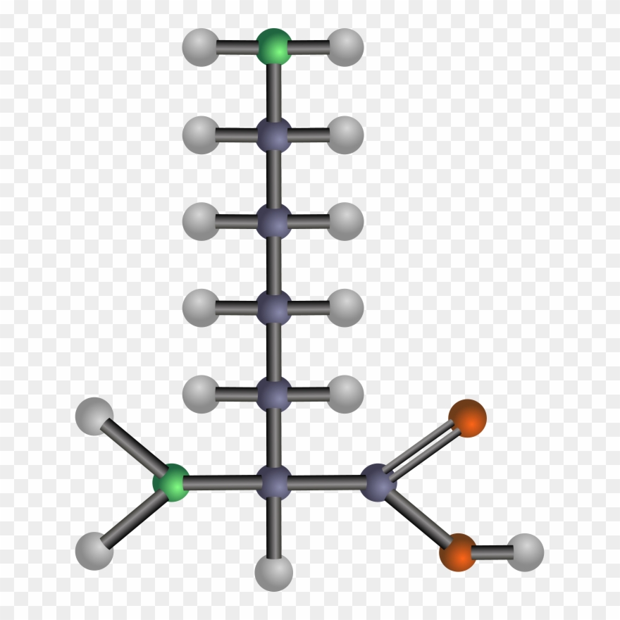 Model Of An Amino Acid Clipart