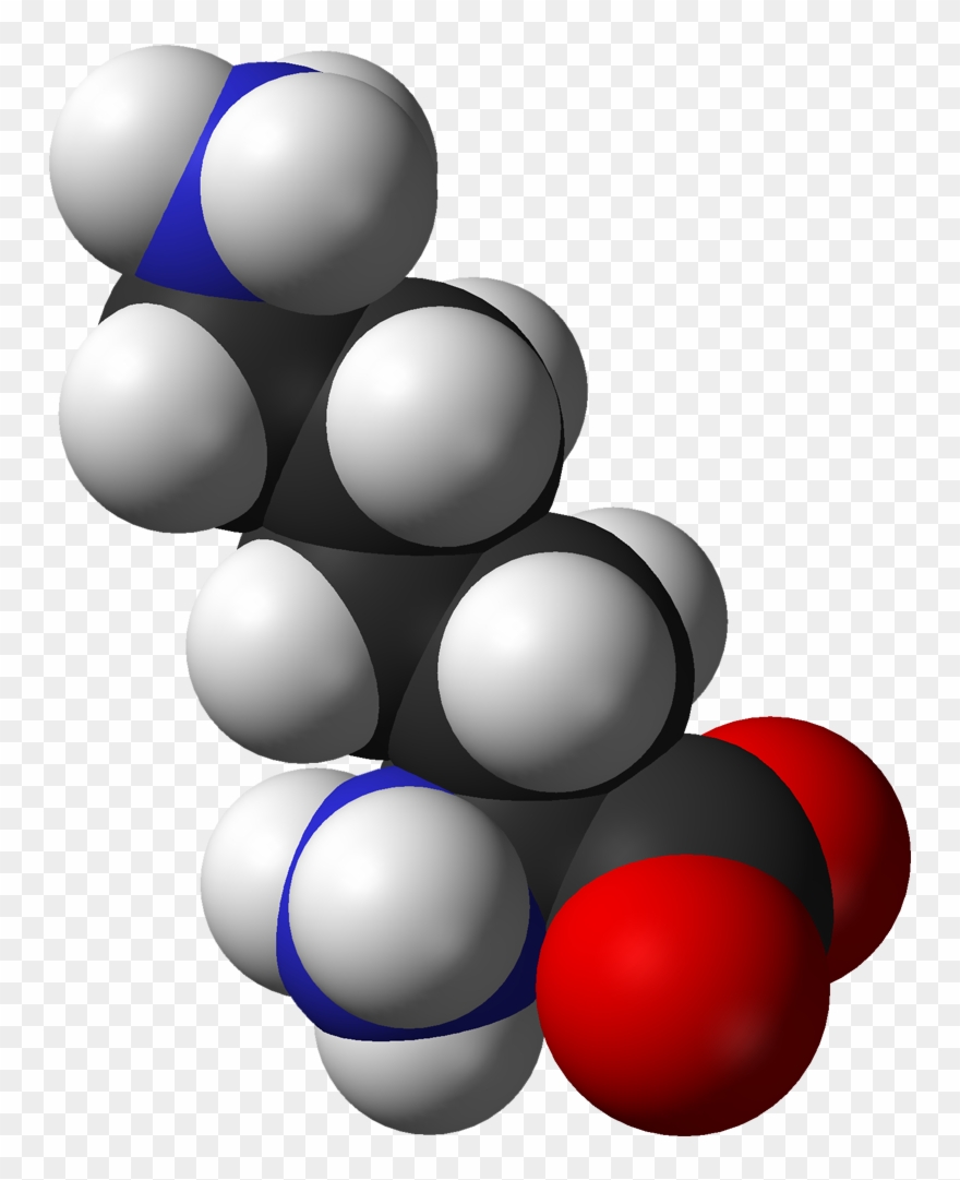 L Lysine Monocation From Hydrochloride Dihydrate Xtal - L Lysine 3d Structure Clipart