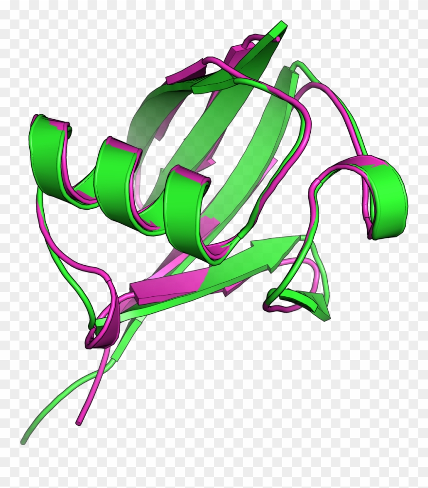 Download Protein Clipart (1666563) PinClipart