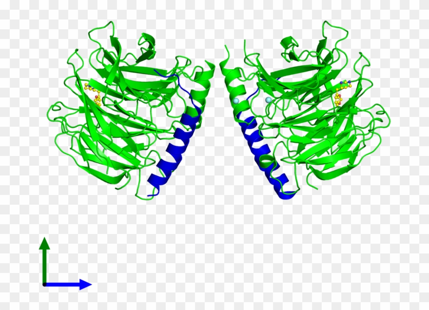 <div Class='caption-body'><ul Class ='image Legend Clipart