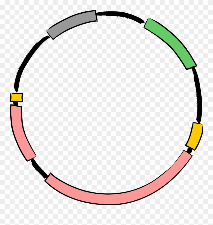 Imagen De Hula Hula Clipart