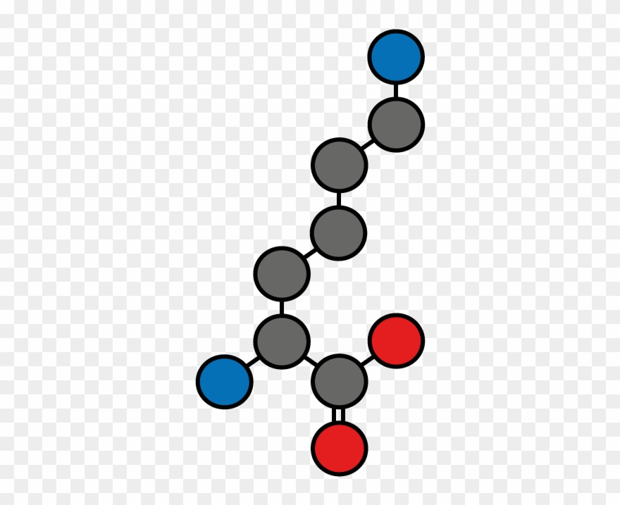 Lysine N = 5 (1 - Inositol Clipart