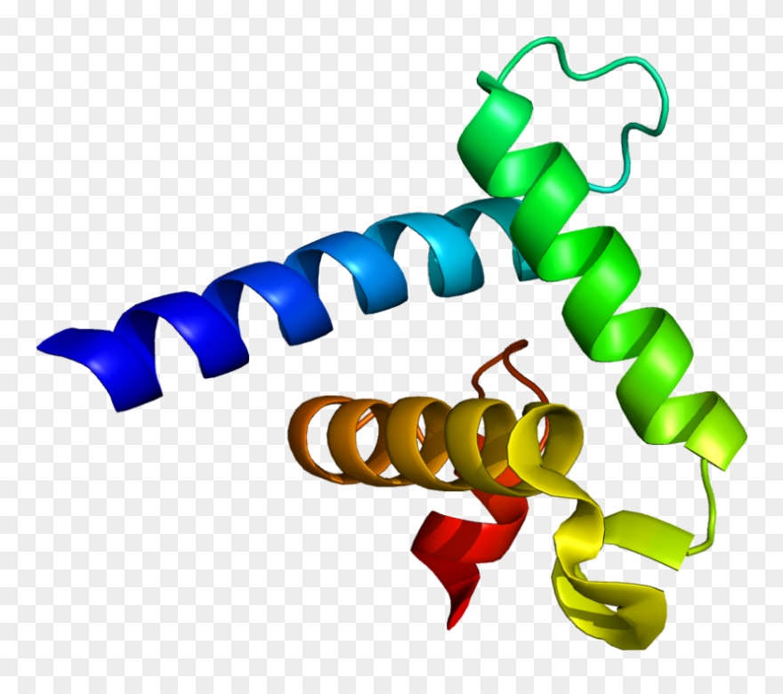 Creb Binding Protein Clipart
