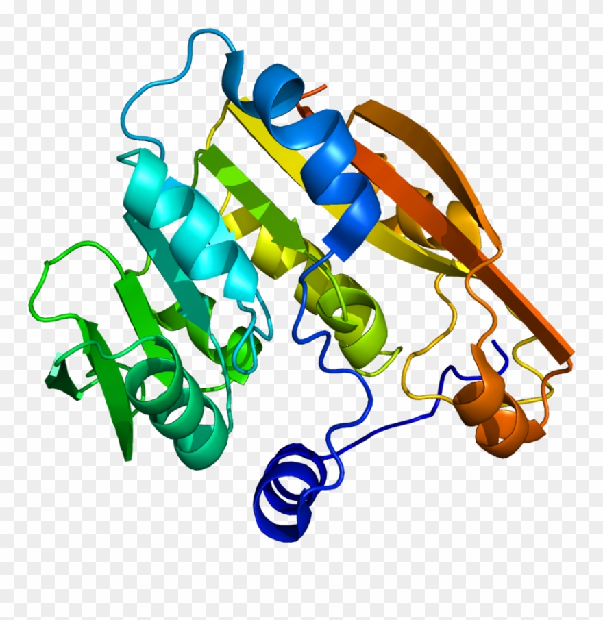 S Methylation Of Thiopurine Clipart