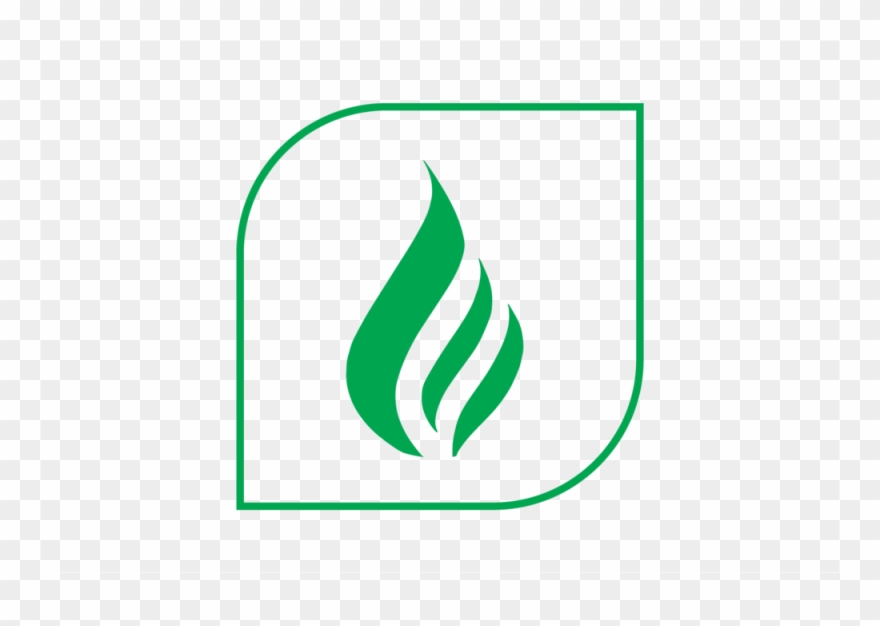 Leafy Corn Silage High Fiber Digestibility - Maize Clipart