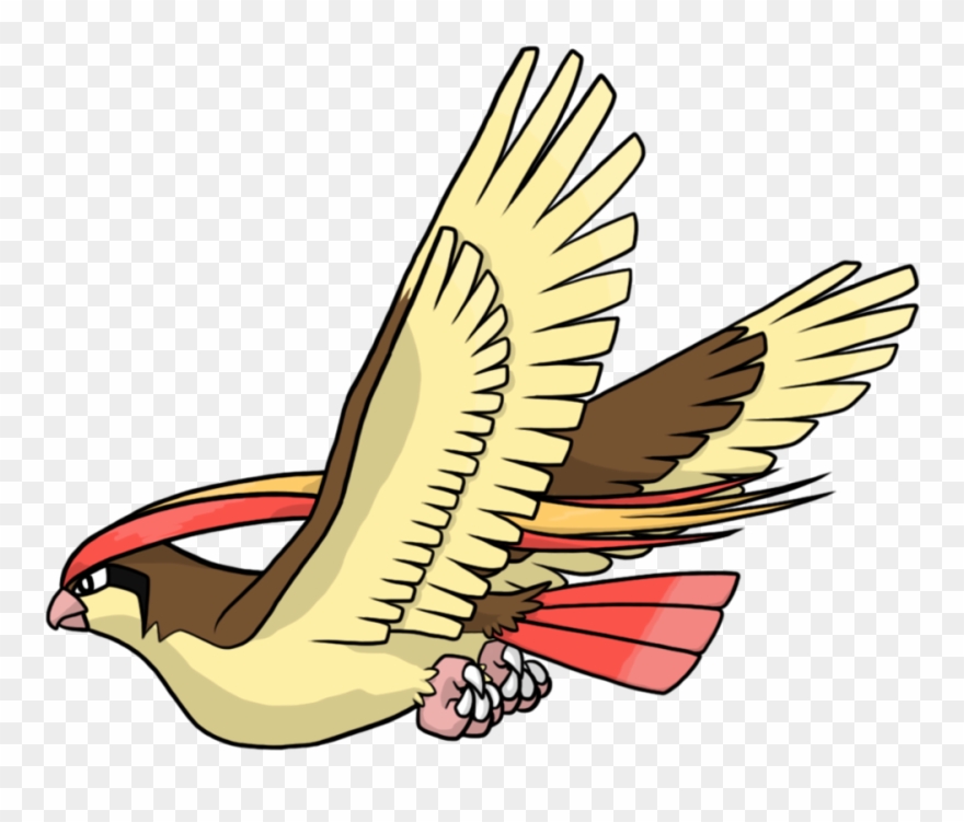 23 Dec - Pidgeot No Background Clipart