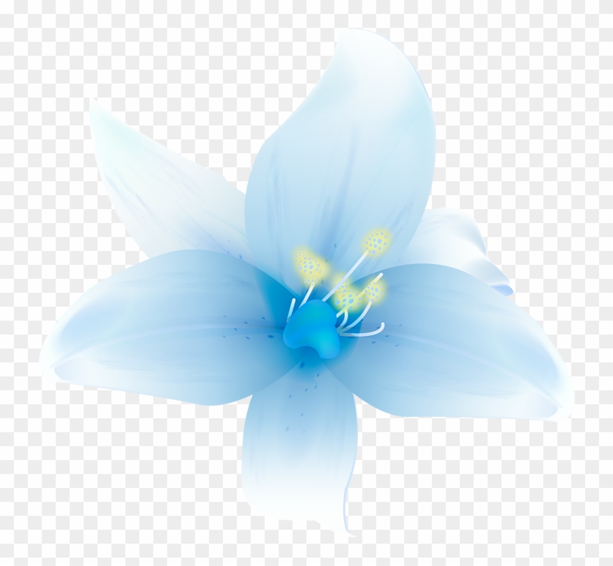 Large White Lilium Clipart M=1366495200 - Beautiful Flowers In Png Transparent Png