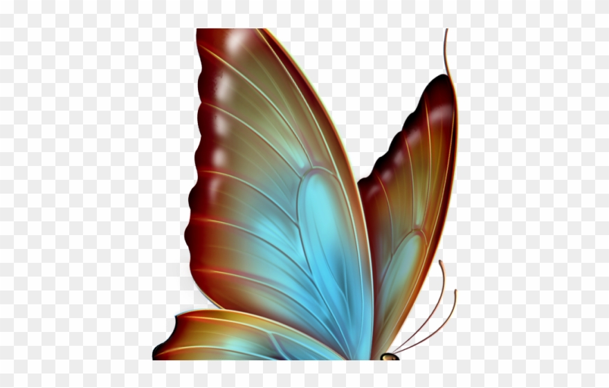 Rainbow Butterfly Clipart White Background - Butterfly Clipart Transparent Background - Png Download