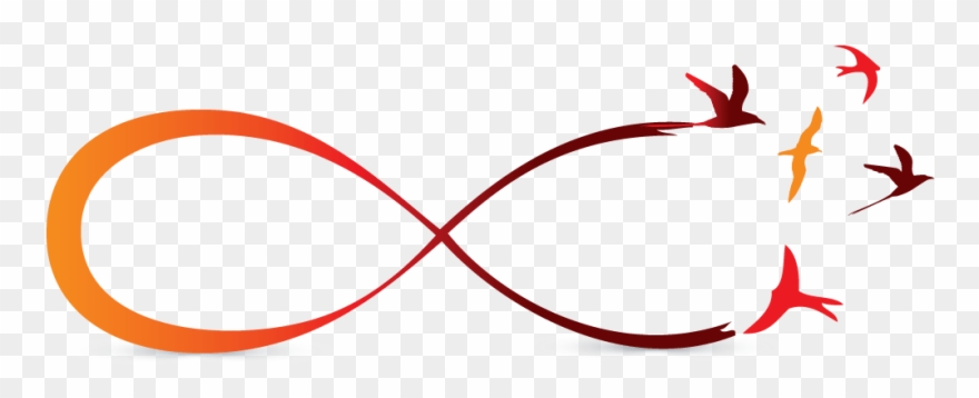 Infinity Symbol Birds Png Clipart