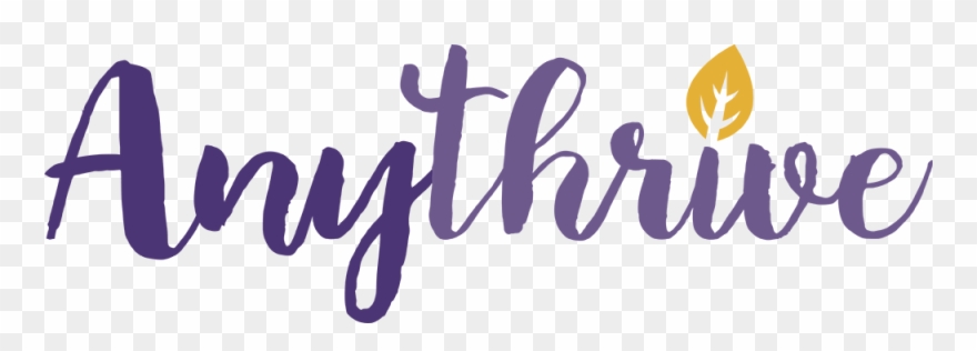 Privacy Overview - Photography Clipart