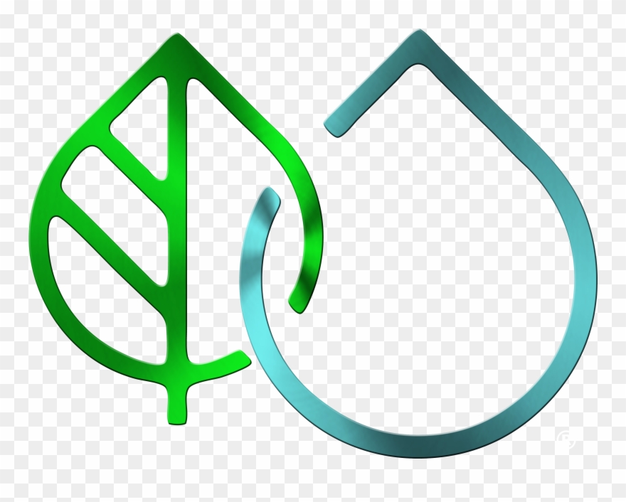 Leaf In Creek Clipart