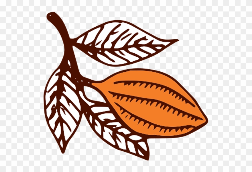 Ancient Maya Valued Cocoa Pods So Highly That They - Dick Clipart