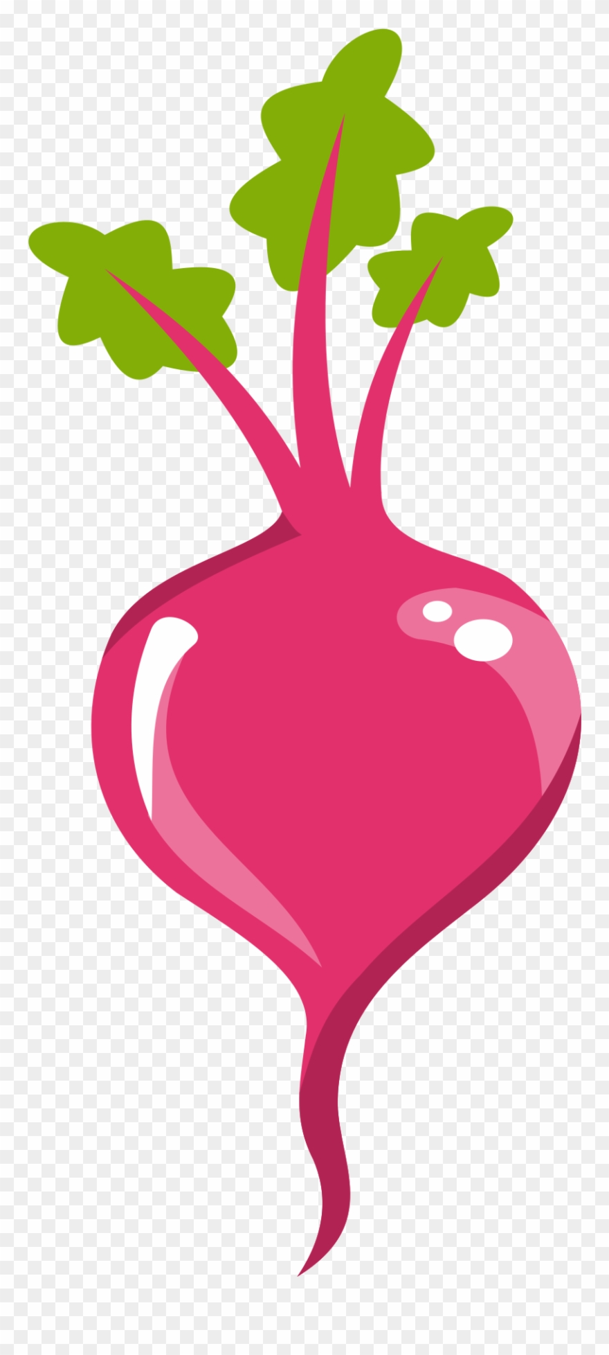 Big Image - Beetroot Icon Png Clipart